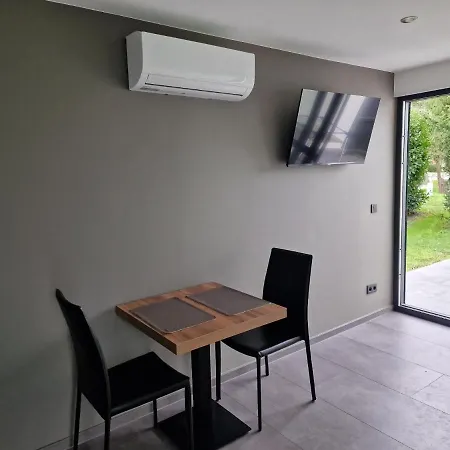 - Grote Zeemeeuwen *