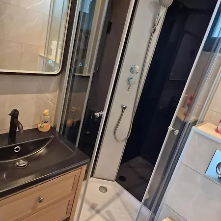 - Grote Zeemeeuwen *