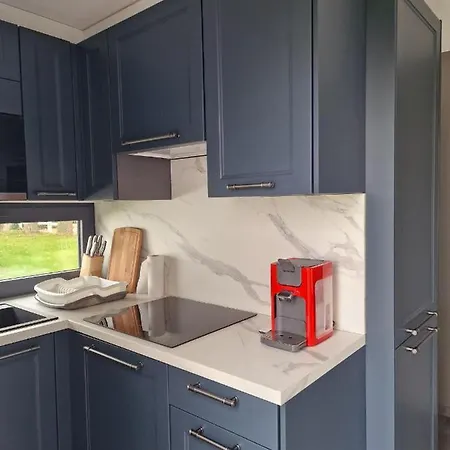 - Grote Zeemeeuwen *