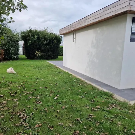 - Grote Zeemeeuwen 科克赛德