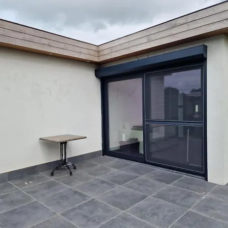 度假居 - Grote Zeemeeuwen