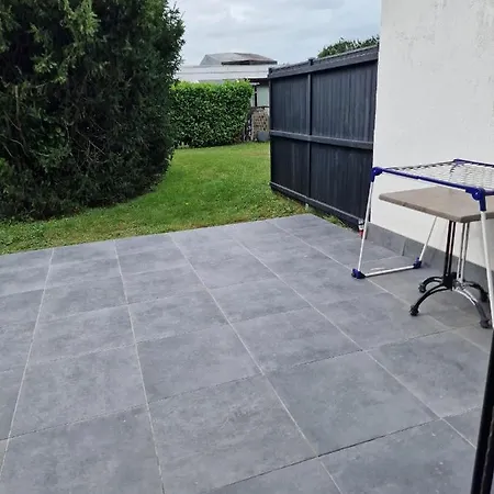 度假居 - Grote Zeemeeuwen *